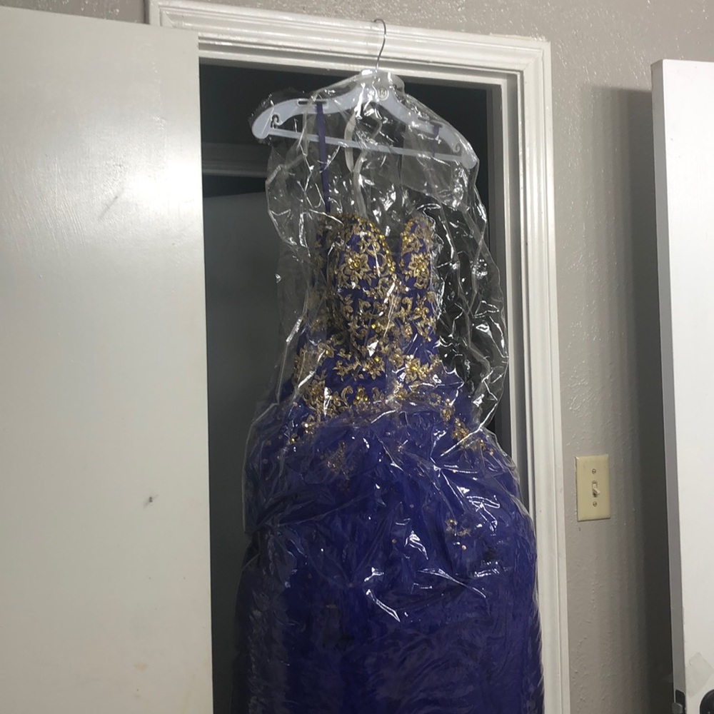 Gold & purple 15 dress